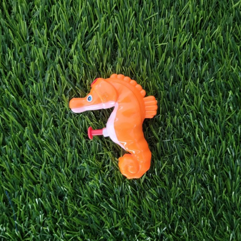 Dolphin And Sea Horse Water Squirters